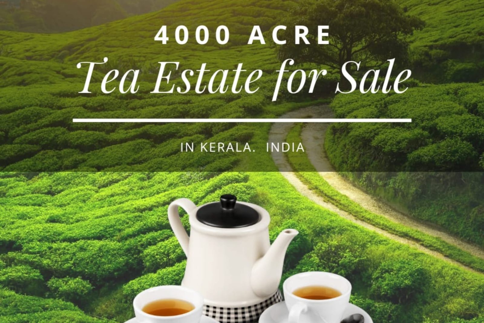 4000 Acre Tea Estate for Sale Kerala