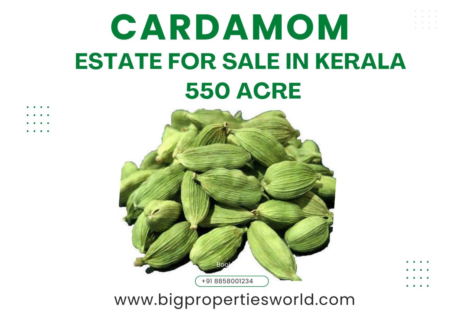 Cardamom Plantation For Sale Idukki