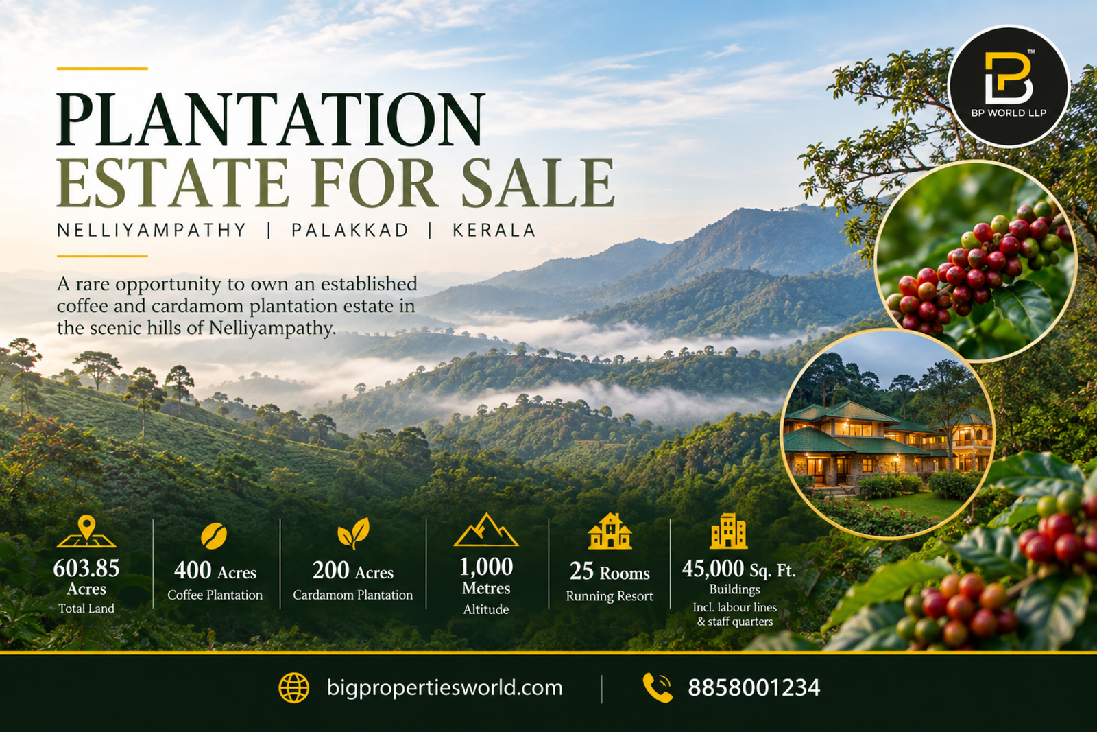 Estate for Sale Nelliyampathy