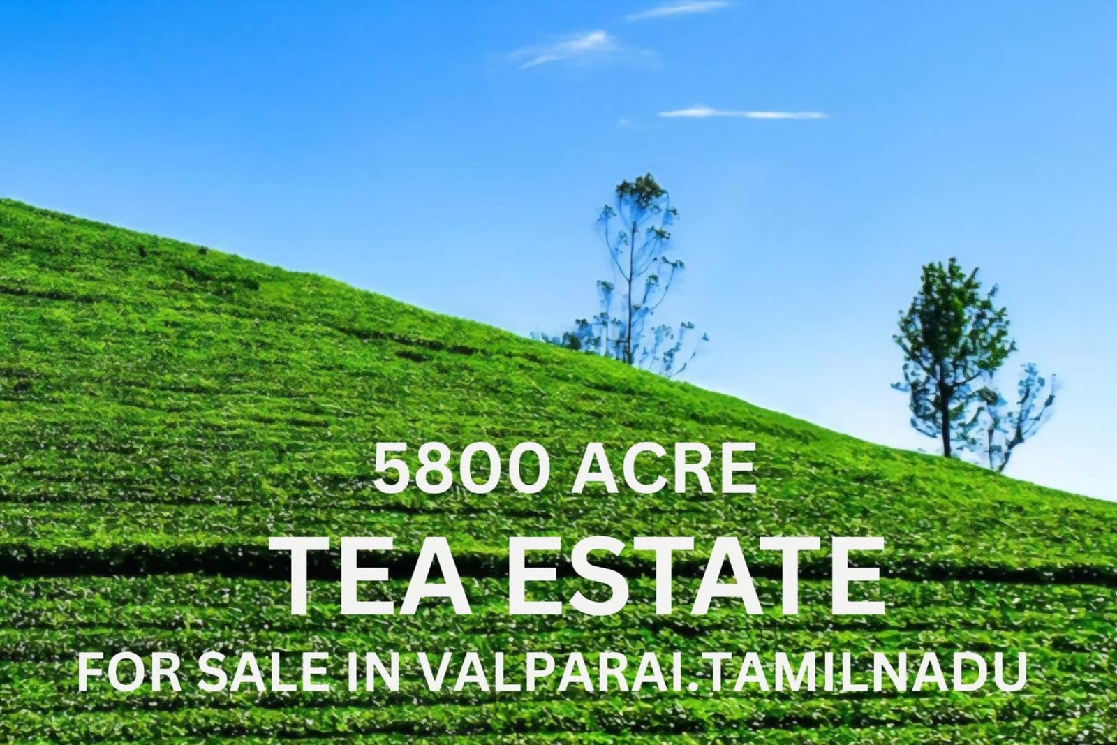 Large Estate for Sale Valparai