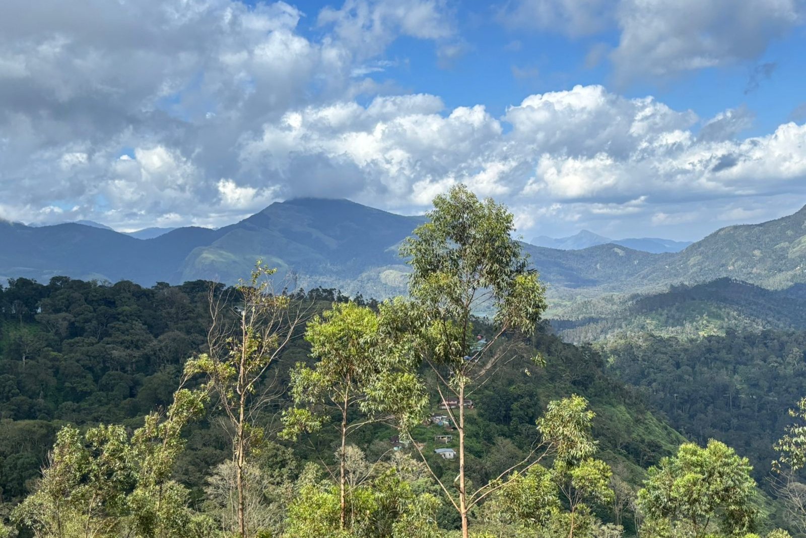 Property for Sale Munnar 2