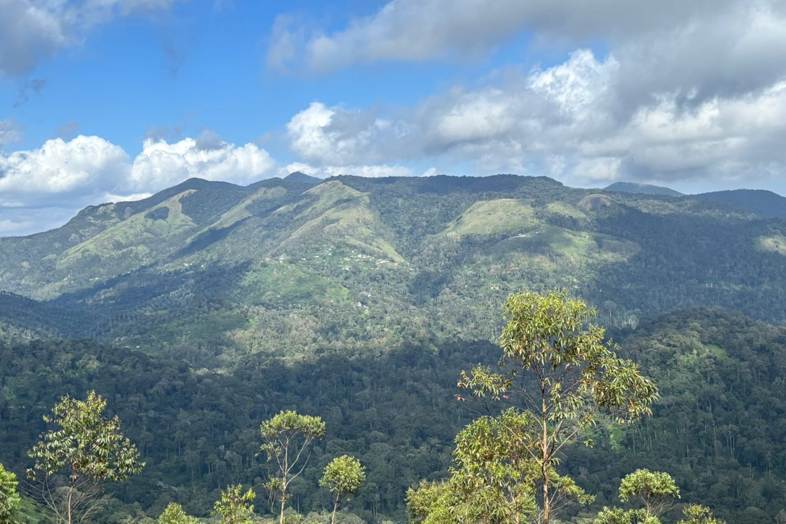 Property for Sale Munnar 3