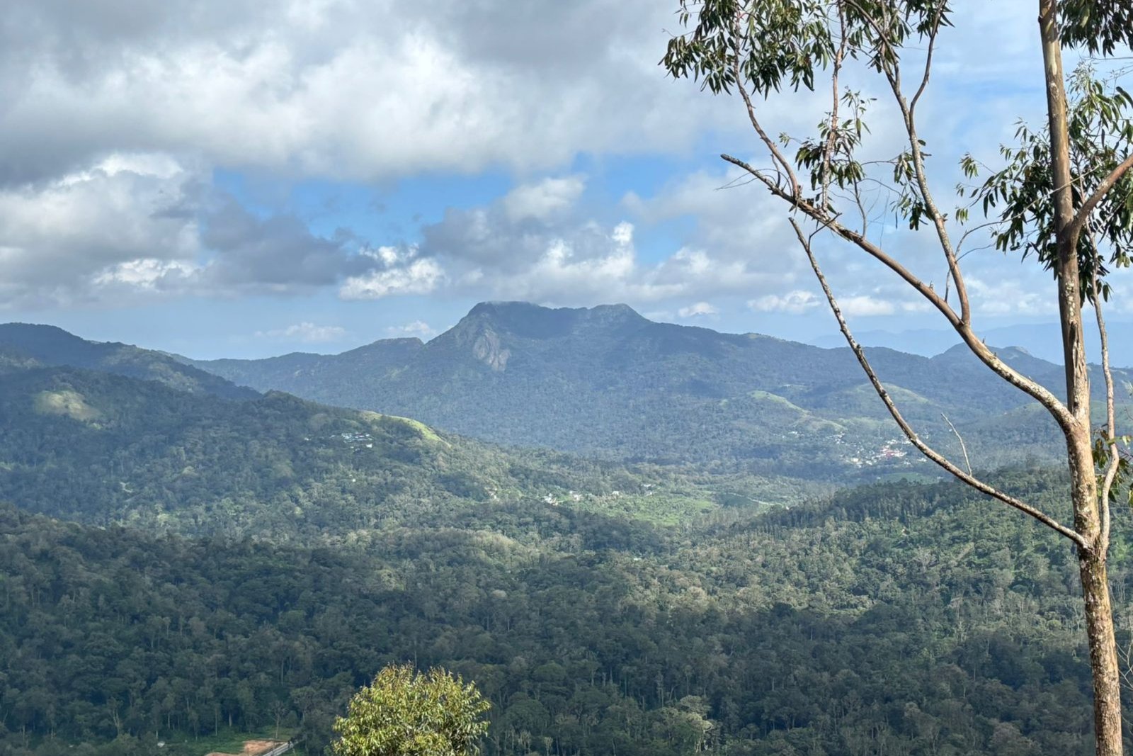 Property for Sale Munnar 4