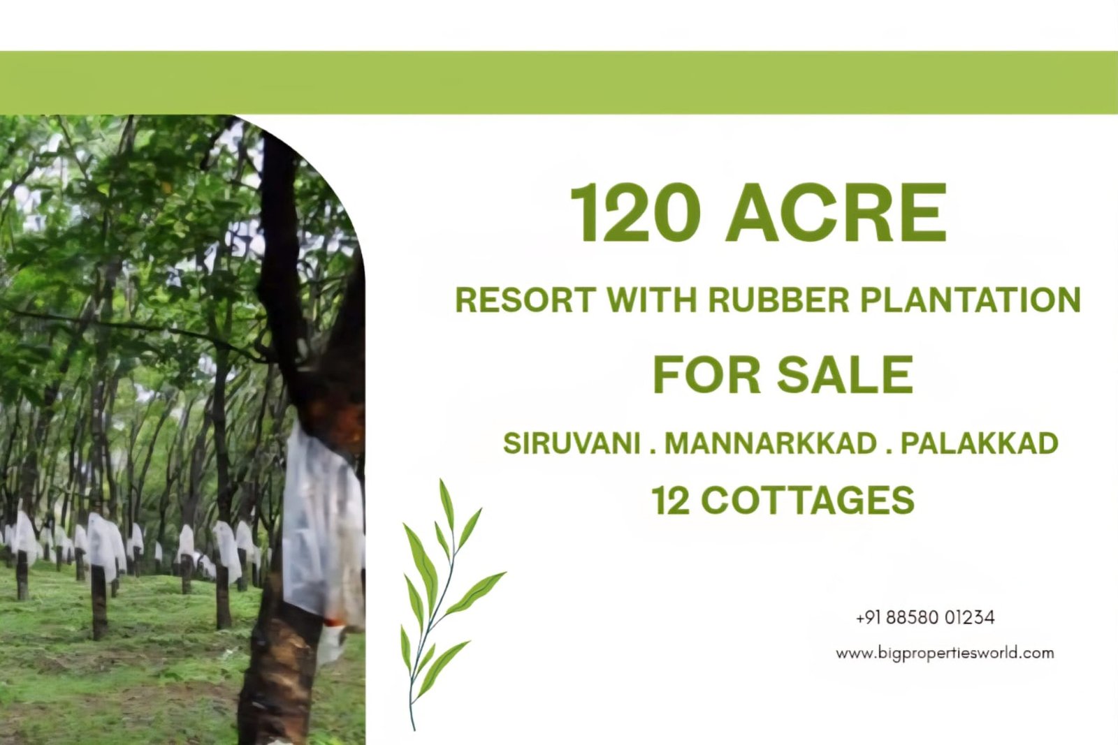 Rubber Plantation with resort