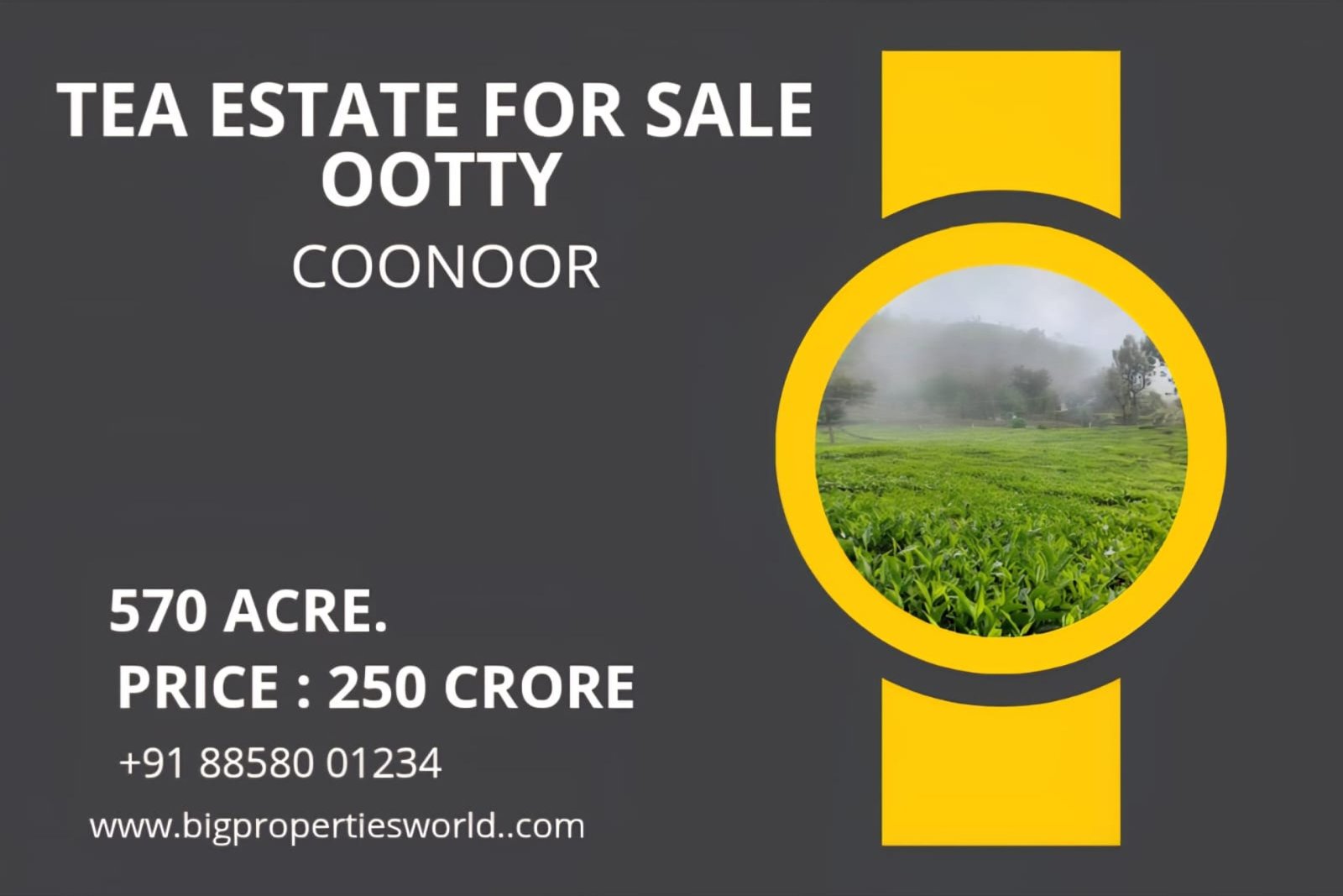 Tea Estate for Sale Coonoor